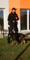 Spotkanie z psami policyjnymi i ich opiekunami, Nauczycielki Przedszkola Gminnego w Chotomowie
