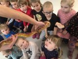 Warsztaty o zwierzętach egzotycznych, Nauczycielki Przedszkola Gminnego w Chotomowie